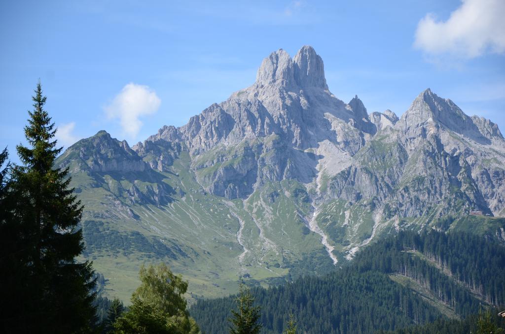 Haus Dachstein Schnitzer Ξενοδοχείο Eben Im Pongau Εξωτερικό φωτογραφία