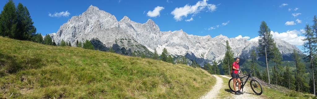 Haus Dachstein Schnitzer Ξενοδοχείο Eben Im Pongau Εξωτερικό φωτογραφία